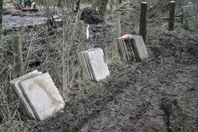 Picture of clearance work at Drumore Pond, December 2009, 29KB